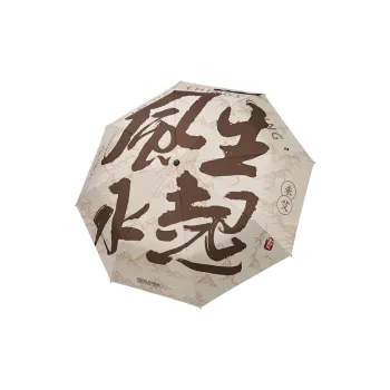 ElevethSign Umbrellas