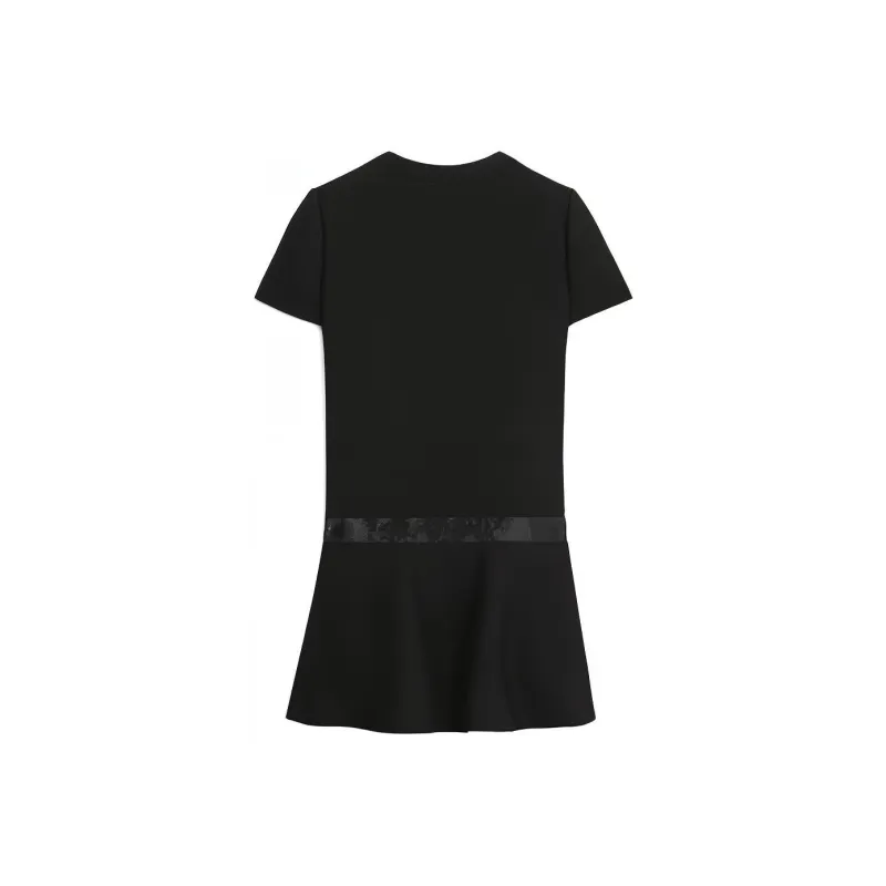 CELINE Chelsea Embroidered Mini Dress-1