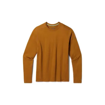 SMARTWOOL T-Shirts Men Brown