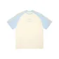 Apricot & Light Blue