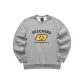 Gray-004F