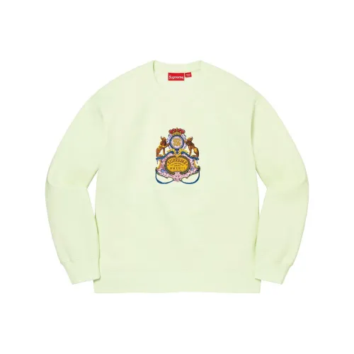 Balenciaga Paris Fashion Week Cropped Hoodie
