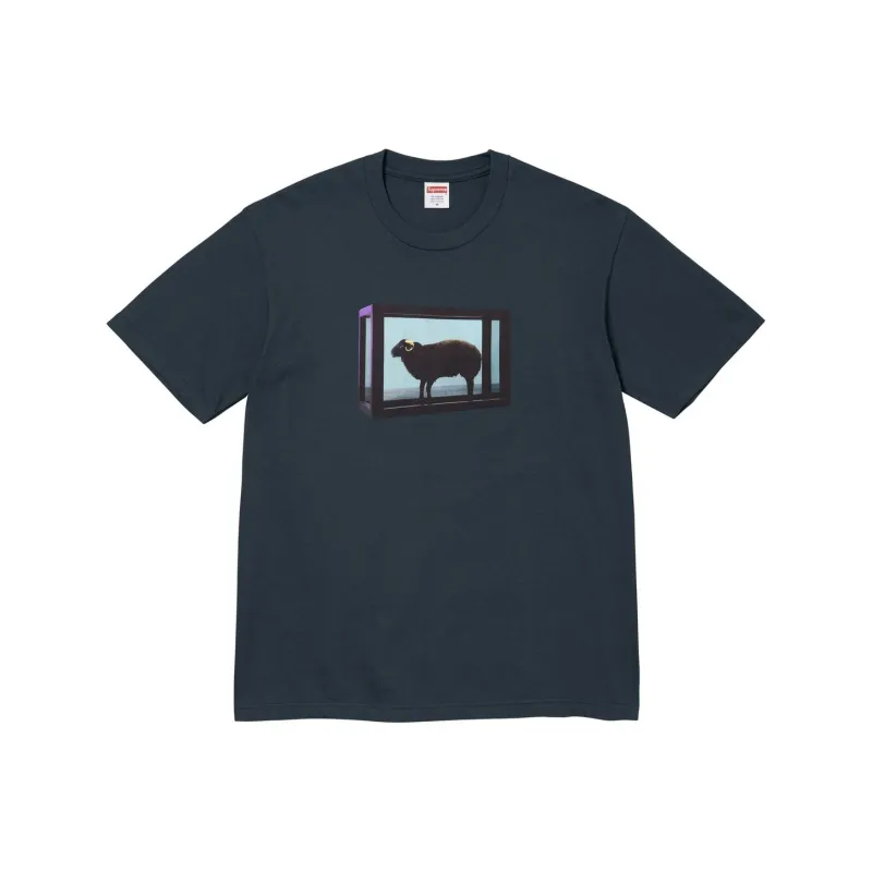 Supreme X Damien Hirst Tee-6