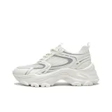 White/Silver Gray