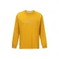 Ginger Yellow