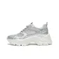 Silver Gray