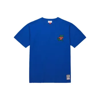 Mitchell & Ness Royal Florida Gators Premium T Shirt Men's Blue