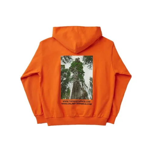 THE NORTH FACE X Online Ceramics Pullover Hoodie