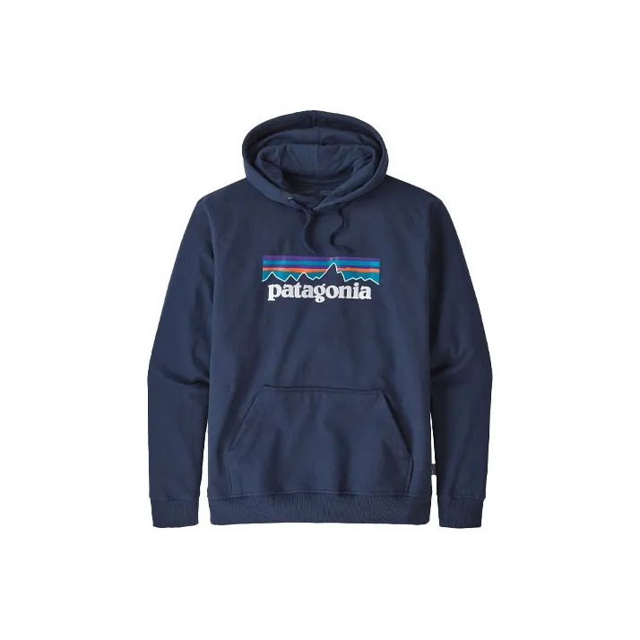 Patagonia Logo-print Hoodie-3