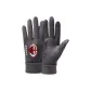 AC Beige Blue Gray Glove