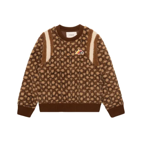 COACH Sweatshirts Men Brown