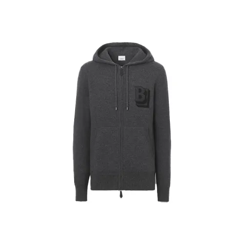 Burberry Sweatshirts Men Gray