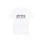 Standard White
