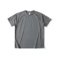 Stone Gray