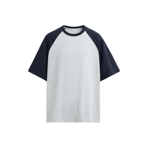 ZARA T Shirt Men's Zebra Print Gray
