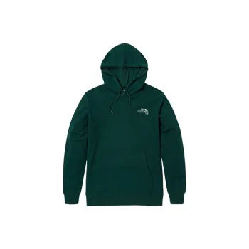 THE NORTH FACE Branding Logo Hoodie 'Teal'