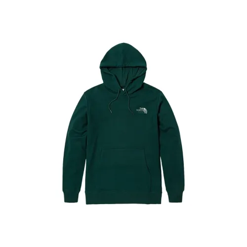 THE NORTH FACE Branding Logo Hoodie 'Teal'