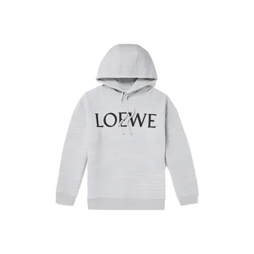 LOEWE Sweatshirts Men Light Gray