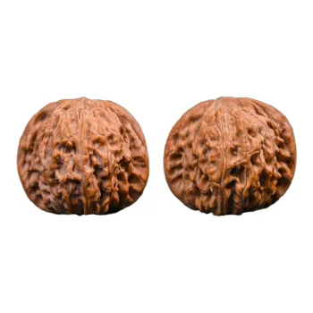 XUWU Walnut Fine Handicraft Collectible Unisex