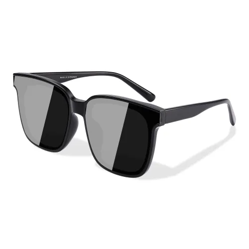 PULAIS Butterfly Sunglasses Unisex