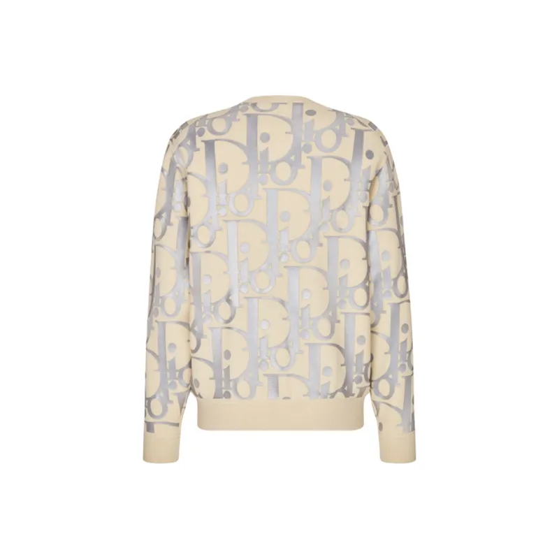 DIOR Reflective Oblique Sweater-1