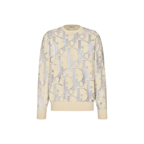DIOR Reflective Oblique Sweater
