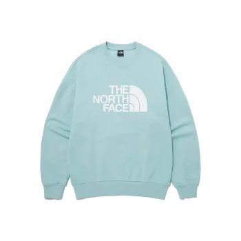 THE NORTH FACE American Sweatshirt Men's Mint Green