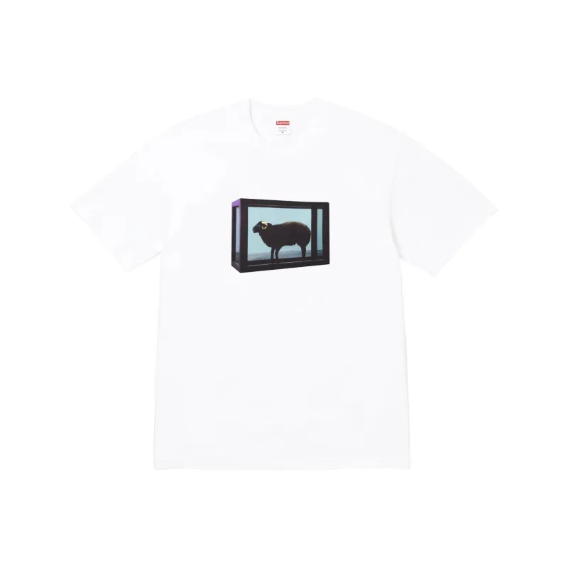 Supreme X Damien Hirst Tee-8