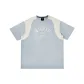Light Gray Blue
