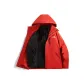 Red (3-in-1)