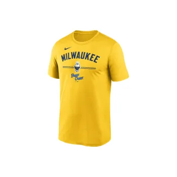 Nike Michigan Sideline Legend Small Logo Men's Nike Brand Dri FIT College T Shirt