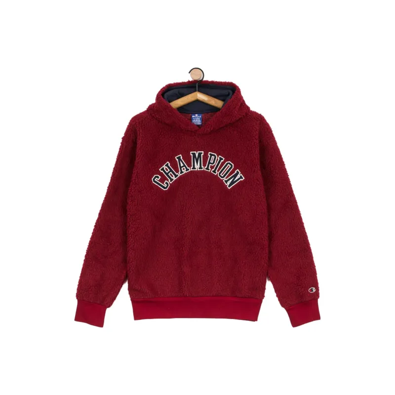 Champion Sweatshirts Men Burgundy-0