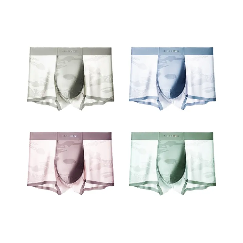 Cheekkiss Underpants Men's Box 4 Pack-6