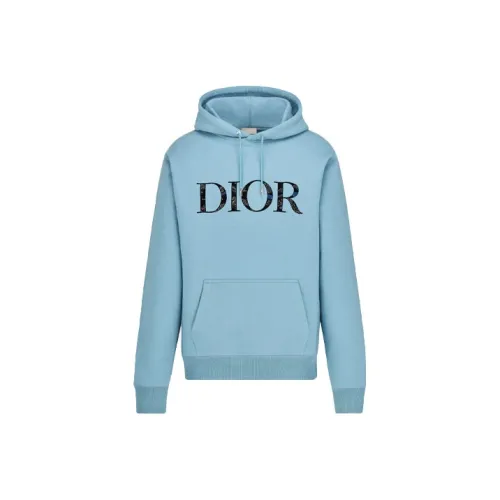 DIOR X Peter Doig Logo Hoodie