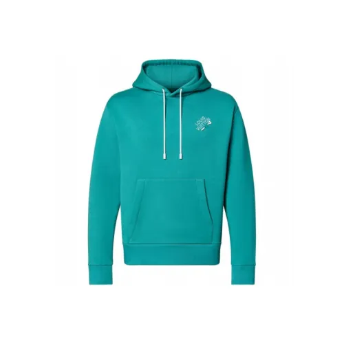 LOUIS VUITTON Embroidered Signature Hoodie