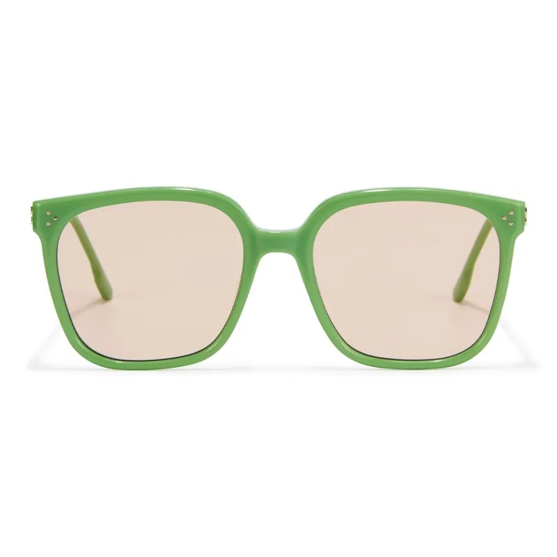 PLASTIC BRAIN Plate Frame Sunglasses Unisex-3