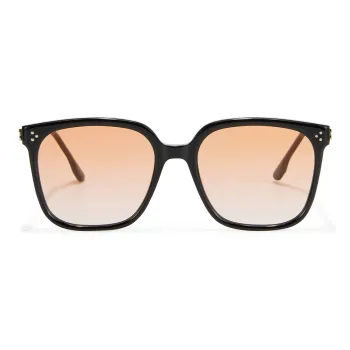 PLASTIC BRAIN Plate Frame Sunglasses Unisex