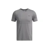 Rhinoceros Gray
