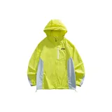 Evening Primrose Yellow