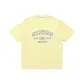 Gray Light Yellow-066C