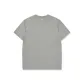 Glacier Gray