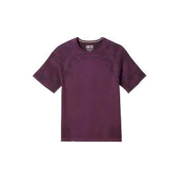 SMARTWOOL Raglan Sleeve T-Shirt Men's