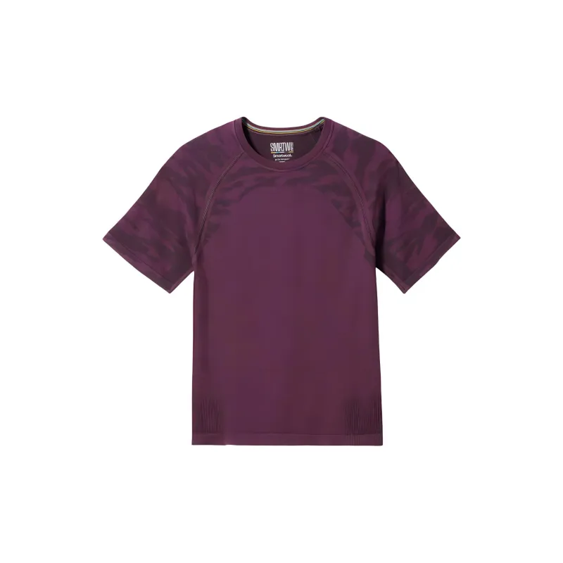 SMARTWOOL Raglan Sleeve T-Shirt Men's-0