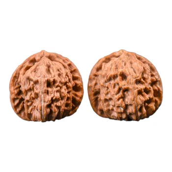 WUDE Walnut Fine Handicraft Collectible Unisex
