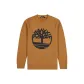 Wheat