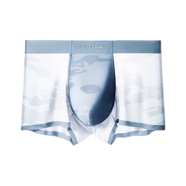 Cheekkiss Underpants Men's Box 4 Pack-22