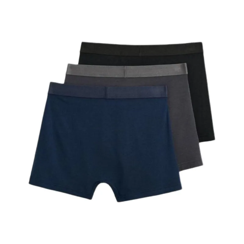 ZARA Men Underpants-1