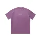 Gray Purple