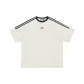 Gray Apricot (Regular Edition)