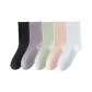 Light Green, White, Black, Taro Purple, Tangerine